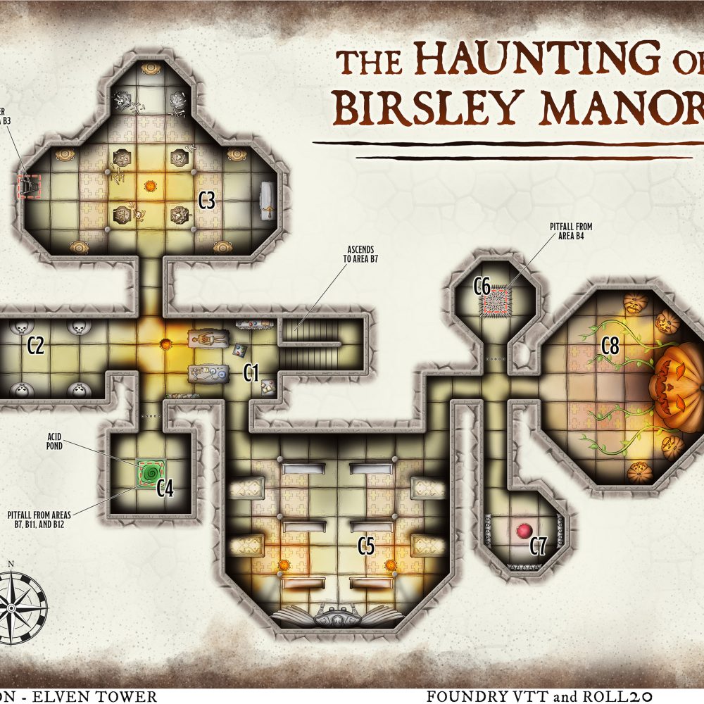 884 Birsley Manor - Dungeon-P1
